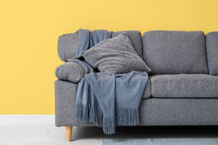 Interior of beautiful living room with black sofa, plaid and cushion, closeupの写真素材