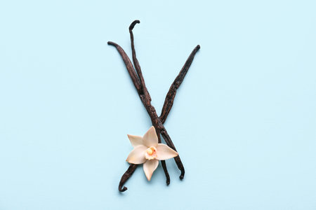 Beautiful vanilla flower and sticks on blue background