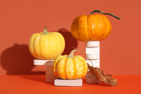 Decorative podiums with fresh pumpkins and autumn leaves on colorful backgroundの写真素材