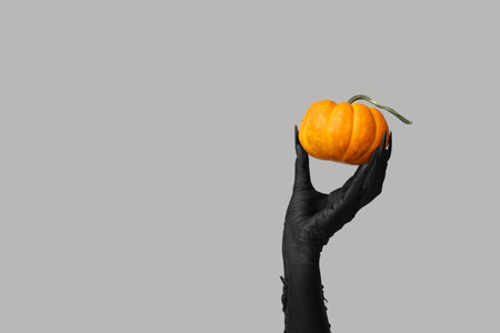 Black hand of witch with fresh pumpkin on gray background. Halloween celebrationの写真素材