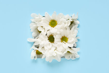 Beautiful floral composition with fresh chamomiles on color backgroundの写真素材
