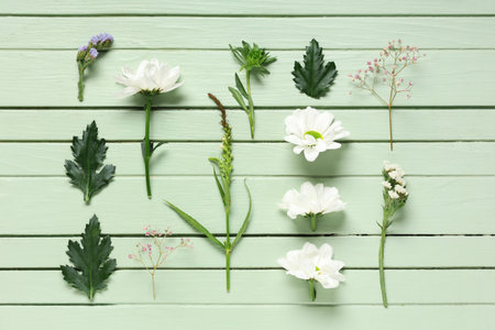 Composition with flowers and plant leaves on color wooden background