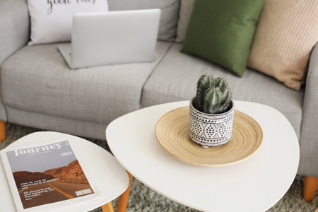 Potted cactus and magazine on coffee table in living room, closeup