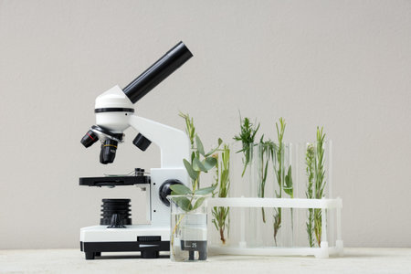 Laboratory glassware with plants and microscope on gray backgroundの写真素材