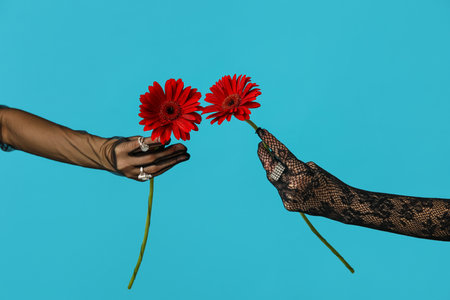 Female hands in laced gloves holding beautiful red gerbera flowers on blue backgroundの写真素材