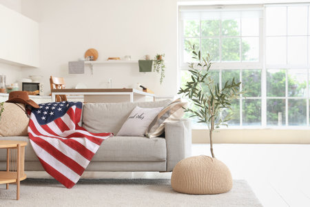 Interior of light living room with gray sofa and USA flagの写真素材