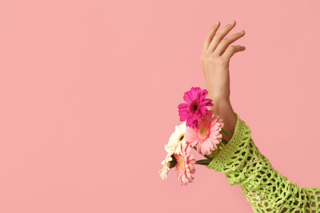 Female hand holding beautiful gerbera flowers on pink background