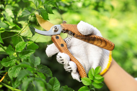 Beautiful young woman in gloves with secateurs cutting tree branch outdoors, closeupの写真素材