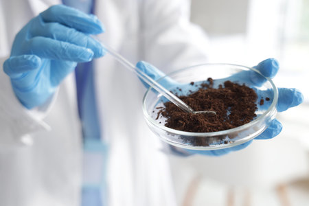 Female scientist studying soil in laboratory, closeupの写真素材