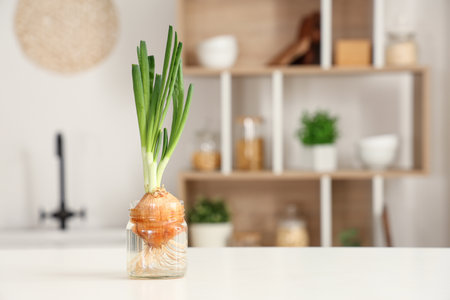 Glass jar with cultivated green onion on white table in kitchenの写真素材