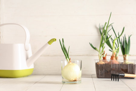 Glass with cultivated green onion and gardening tools on white tile tableの写真素材