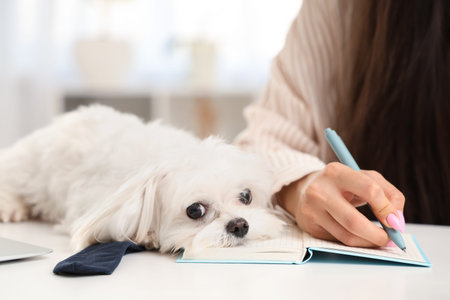 Young woman writing on notebook near her white Bolognese dog in office, closeup