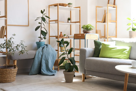 Interior of stylish living room with gray sofa, houseplants, coffee table and shelving unit