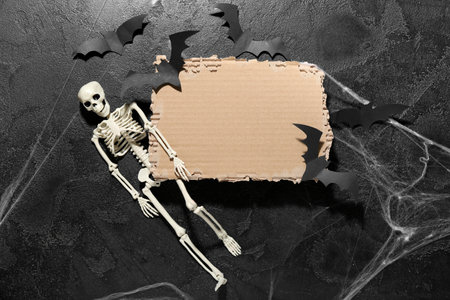 Composition with blank piece of cardboard, skeleton, bats and spiderweb for Halloween on dark backgroundの写真素材