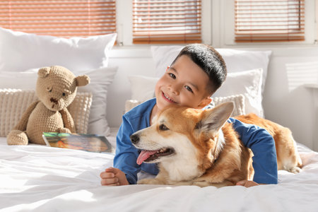 Little happy Asian boy with cute Corgi dog and teddy bear lying on bed at homeの写真素材