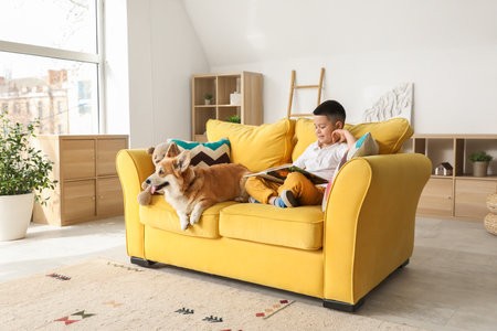 Little happy Asian boy reading book with cute Corgi dog on sofa at homeの写真素材