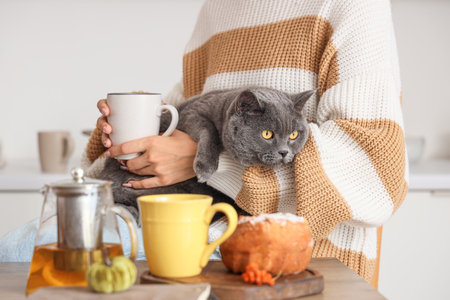 Young woman with cup of tea and cute British cat in kitchen on autumn day, closeupの写真素材