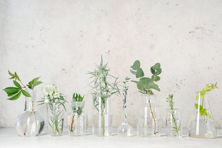 Laboratory glassware with herbs and plants on grunge beige backgroundの写真素材