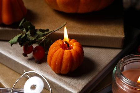 Burning candles with rose hip berries and books, closeupの写真素材