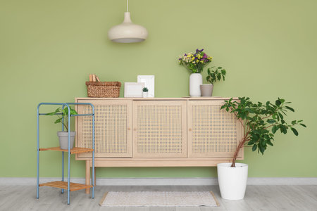 Wild flowers in vase on chest of drawers and houseplants in room