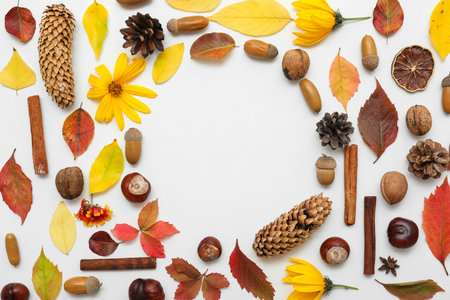 Frame made of autumn leaves with beautiful flowers, different nuts, cinnamon and pine cones on white...