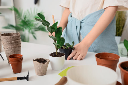 Cute boy planting at table in workshop, closeupの写真素材
