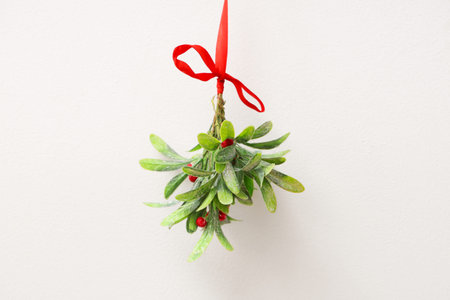 Mistletoe branch with red ribbon hanging against light wall