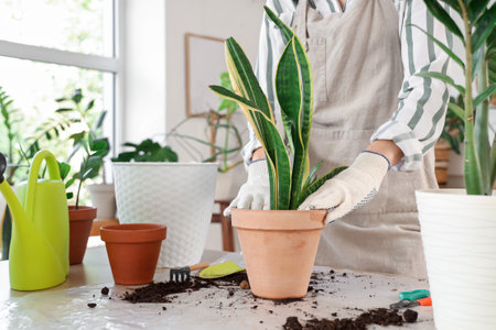 Young woman with gardening tools taking care of houseplant at home, closeupの写真素材