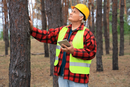 Senior forester with tablet computer checking trees in forest