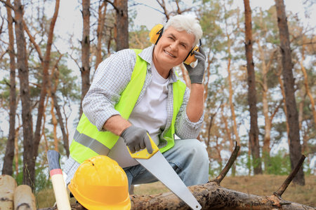 Senior forester sawing fallen trees in forest