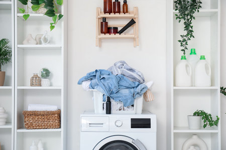 Interior of light laundry room with washing machine, clothes basket and houseplantsの写真素材