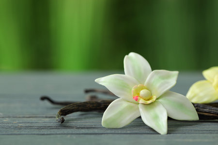 Aromatic vanilla pods and flowers on table outdoors