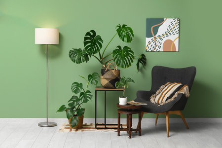Monstera houseplant, armchair and coffee table near green wallの写真素材