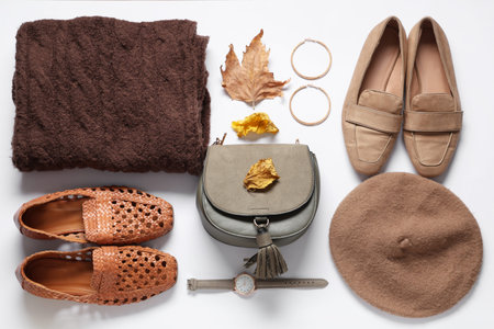 Stylish bag, accessories and dry leaves on white background