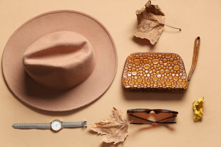 Stylish bag, accessories and dry leaves on beige background