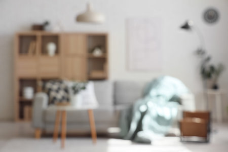 Interior of living room with cozy sofa, coffee table, houseplant and shelving unit. Blurred viewの写真素材