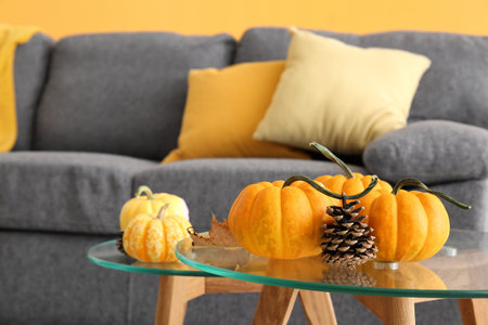 Pumpkins with autumn leaf and fir cone on table in living room, closeupの写真素材