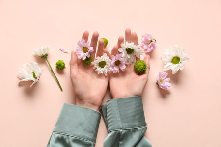 Female hands with fresh daisies on beige background. Care conceptの写真素材