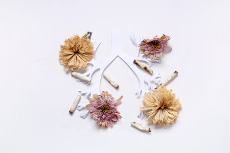 Paper lungs with cigarette butts and dried flowers on white backgroundの写真素材