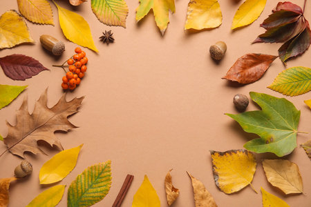 Frame made of beautiful fallen leaves, acorns and rowan berries on color background
