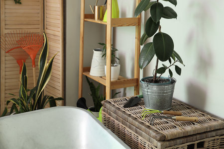 Plant with gardening tools on basket in workshopの写真素材