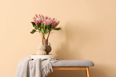Vases with protea flowers and plaid on soft bench near beige wallの写真素材