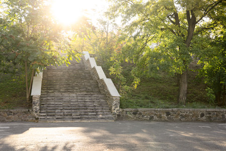 Stairs in beautiful autumn park on sunny dayの写真素材