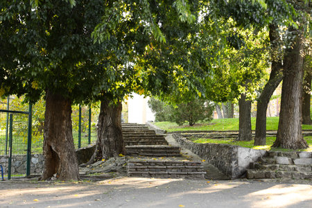 Stairs in beautiful autumn park on sunny dayの写真素材