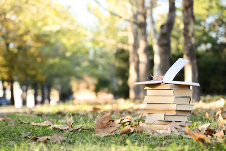 Stack of books with autumn leaves in parkの写真素材