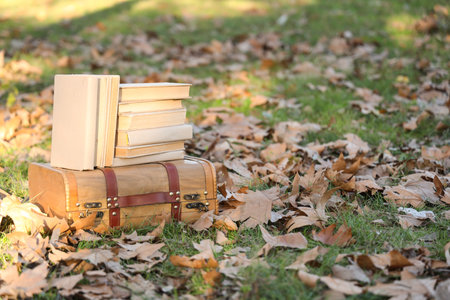 Stack of books and suitcase on grass in autumn parkの写真素材
