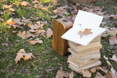 Stack of books with suitcase and autumn leaves in parkの写真素材
