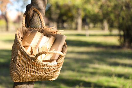 Wicker basket with books and autumn leaves hanging on tree in parkの写真素材