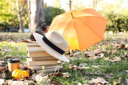 Stack of books with hat, cup of coffee and pumpkin in autumn parkの写真素材