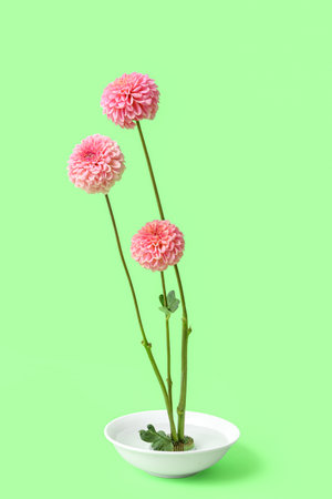 Ikebana with beautiful pink dahlia flowers on green backgroundの写真素材